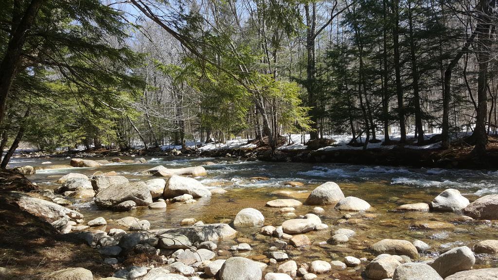 לינקולן Franconia Notch Motel מראה חיצוני תמונה