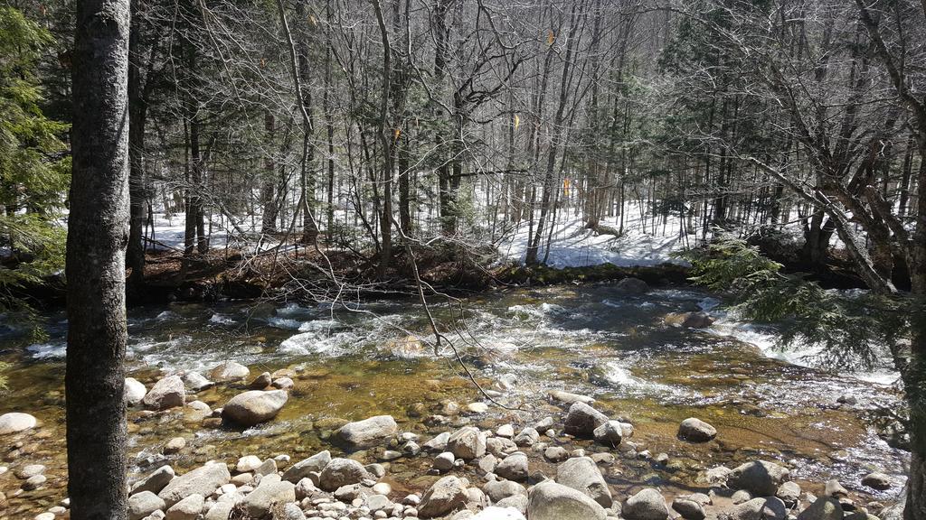 לינקולן Franconia Notch Motel מראה חיצוני תמונה