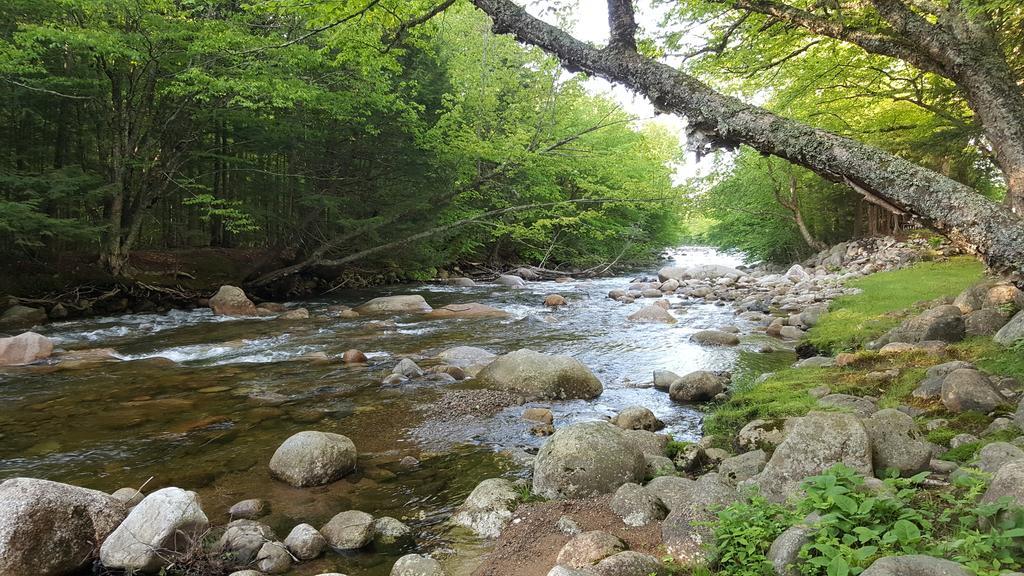 לינקולן Franconia Notch Motel מראה חיצוני תמונה