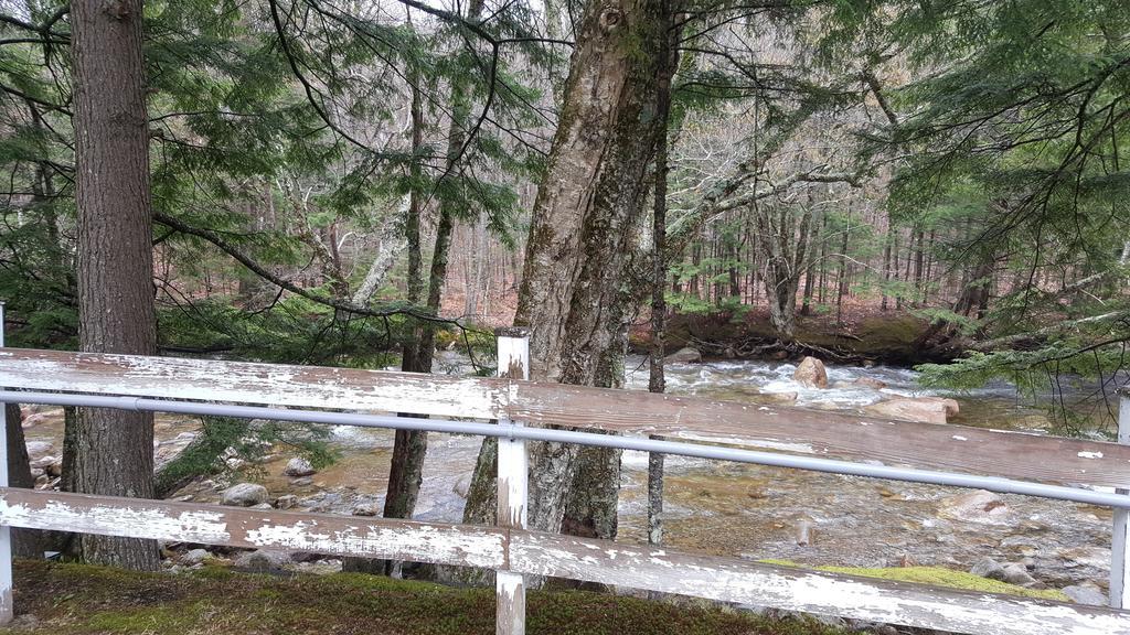 לינקולן Franconia Notch Motel מראה חיצוני תמונה